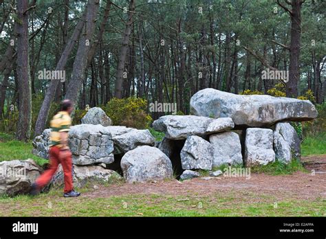 France Morbihan Carnac Mane Kerioned Dolmens Megalithic Monument