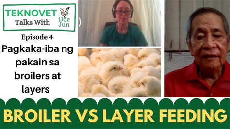 Poultry Feed Conversion Ratio Broiler45 Days Vs Layer Feeding Guide