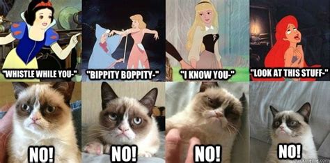 Disney Grumpy Quick Meme Funny Grumpy Cat Memes Grumpy Cat Hot Sex Picture