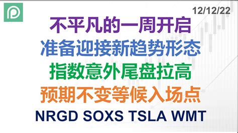 美股分析 NRGD SOXS TSLA WMT 不平凡的一周开启 准备迎接新趋势形态 指数意外尾盘拉高 预期不变等候入场点 YouTube