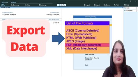 How To Export Tally Data In Excel Pdf  Youtube