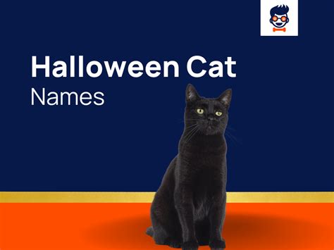 1020+ Halloween Cat Names for Your Little Fur Baby