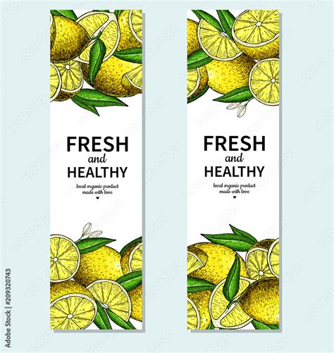 Lemon Banner Vector Drawing Citrus Fruit Frame Template Stock Vector