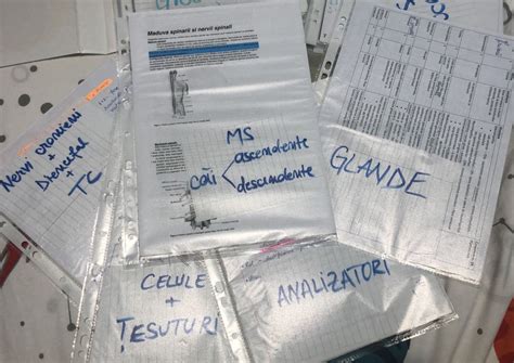 Materie Admitere Medicina Biologie Bucuresti Sectorul 5 OLX Ro