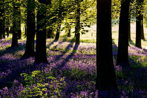 Hertfordshire Landscape Photography Martin Birks Photography