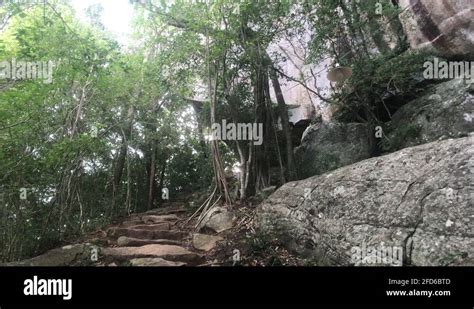 Sigiriya caves Stock Videos & Footage - HD and 4K Video Clips - Alamy