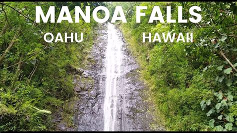 WYSPA OAHU HAWAJE WODOSPAD MANOA YouTube