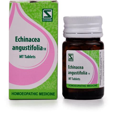 Willmar Schwabe India Echinacea Angustifolia 1X Tablets 20g