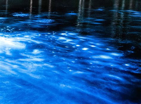 Bioluminescence Kayaking: 7 Best Places in the World! - WWB