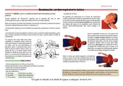 Reanimaci N Cardiorrespiratoria B Sica Calaquita Study Udocz