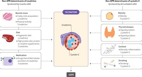 Advances In The Management Of Chronic Kidney Disease The Bmj