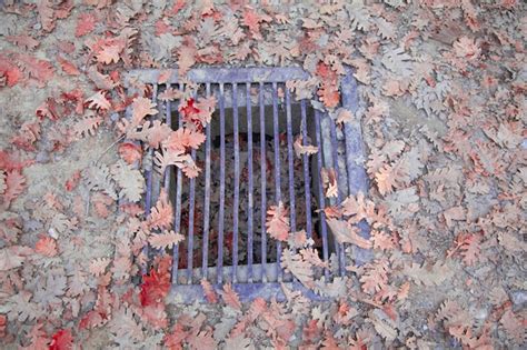 Premium Photo Storm Sewer Grate Clogged With Leaves Flooding