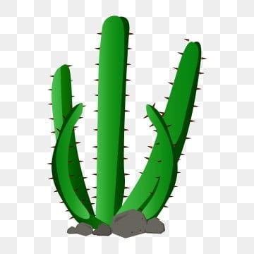 Cactus PNG, Vectores, PSD, e Clipart Para Descarga Gratuita - Pngtree