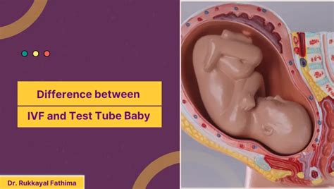 Difference Between IVF And Test Tube Baby