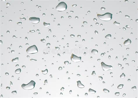 Realistic Vector Water Drops Transparent Background Clean Drop