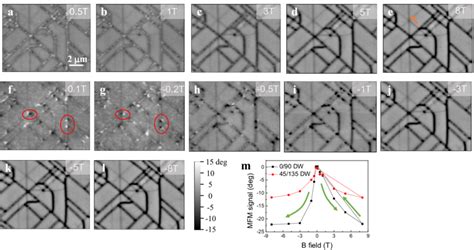 Magnetic Force Microscopy Mfm Characterization Of Nanoscale Network