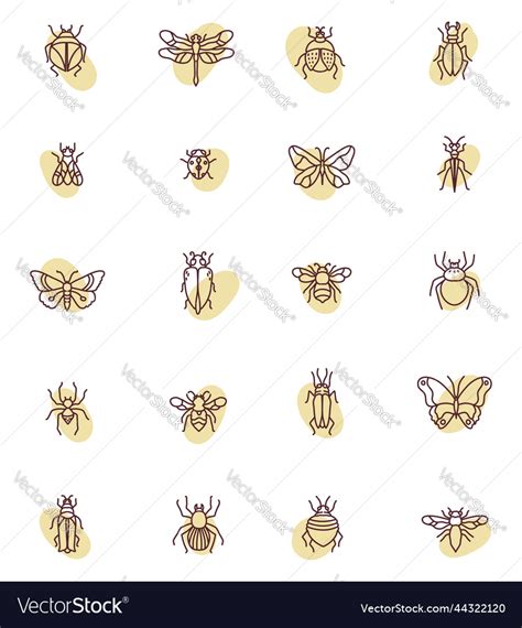 Types of bugs on a white background Royalty Free Vector