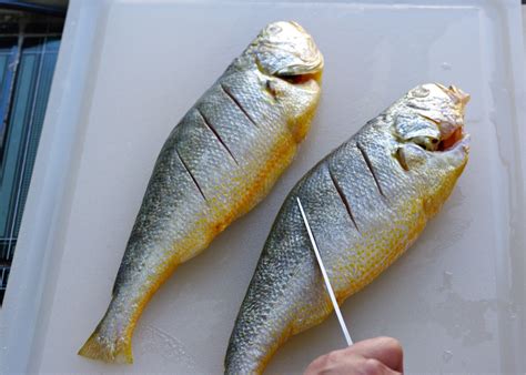 How To Bake Croaker Fish In Oven - Recipes.net