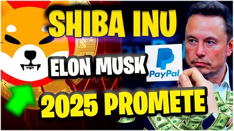 Shiba Inu Hoje Paypal E Elon Musk Shibarium Hype Da Web Youtube