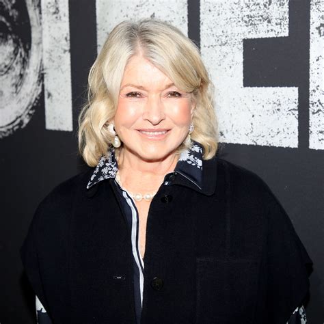 house exterior color 1