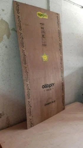 Mm Oswin Ply Ottoply Gold Plywood For Furniture At Rs Sq Ft In Kochi