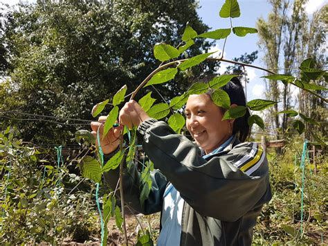 Ministerio De Agricultura Y Ganader A On Twitter Junto Al Ministro