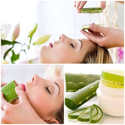 Aloe Vera Pour Le Visage Bienfaits Et Utilisation Comment