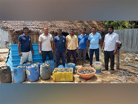 Marine Police Seizes Kg Banned Sea Cucumbers From A House In