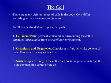 Chapter 3 Cell Structure Cell Membrane Endocytosis And Exocytosis Ppt Download