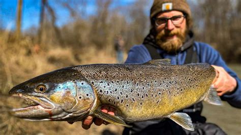 Spring Trout Fishing 2020 Youtube