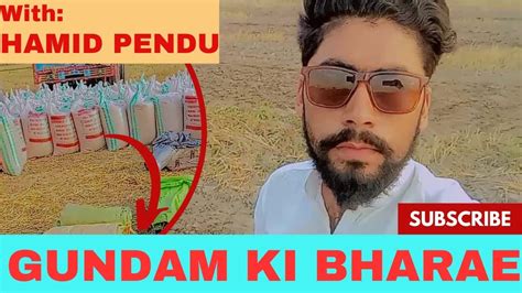 Wheat Supply To The Market Ft Hamid Pendu Vlog No Wheat