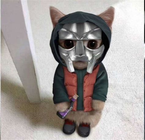 El Gato Mf Doom Funny Cute Cats Doom