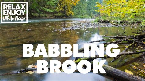 Babbling Brook Relaxing Sounds Nature Sounds Sounds Of Nature