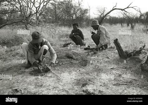 Bushmen Hunting Bow Arrow Bushman Hi Res Stock Photography And Images