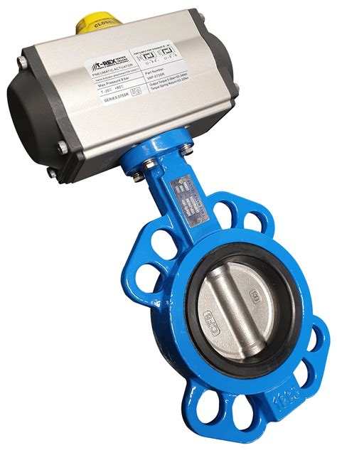 Cast Iron Double Acting Butterfly Valve With 316 Stainless Steel Disc