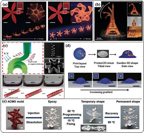 A Complex Flower Morphologies Generated By Biomimetic D Printing