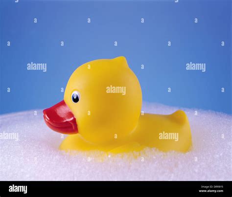 Rubber Duck in bath Stock Photo - Alamy