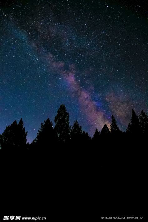 晚上树与星空设计图自然风光自然景观设计图库昵图网