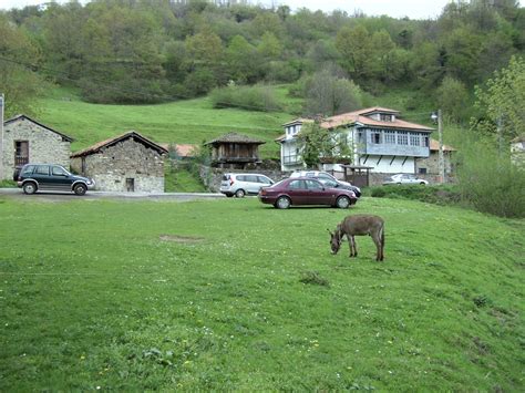 Estimulación cognitiva a domicilio en el medio rural