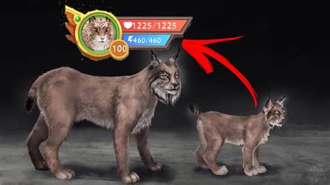 Upando o lince do nível 92 até o nível 100 no WildCraft LordxHades