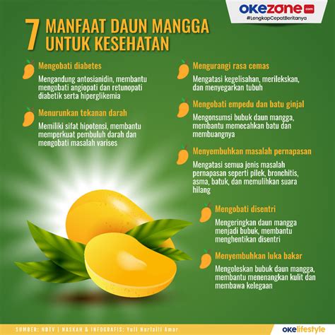 Okezone Infografis Manfaat Daun Mangga Untuk Kesehatan