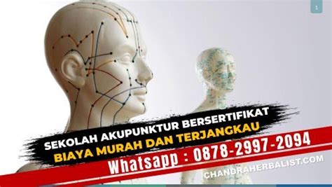 Kursus Akupunktur Di Kedung Banteng Wa 0878 2997 2094 Info Pelatihan Akupuntur Ui