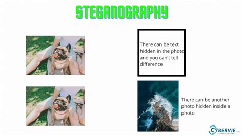 Steganography How To Hide Data In Pictures And Audio CYBERVIE