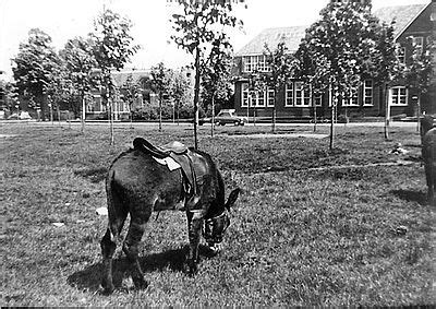 Contactblad Historische Kring Bussum 7 2 September 1991 Pag 79