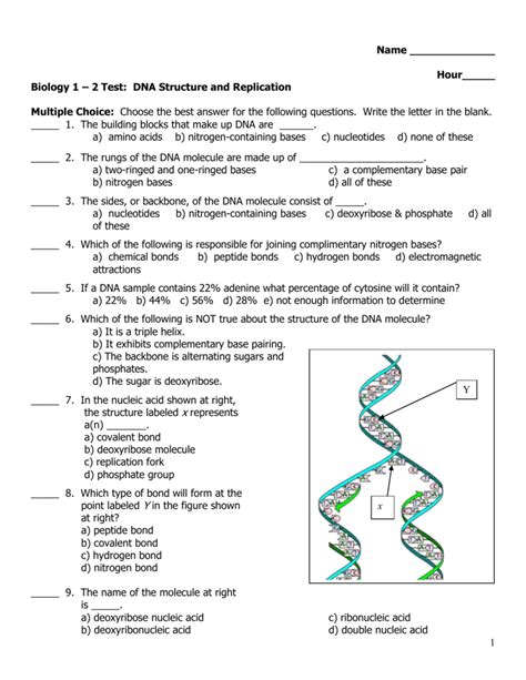 Biology Test Nucleic Acids Protein Synthesis