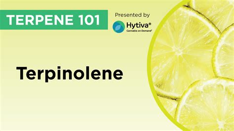 Terpinolene : Know Your Terpenes