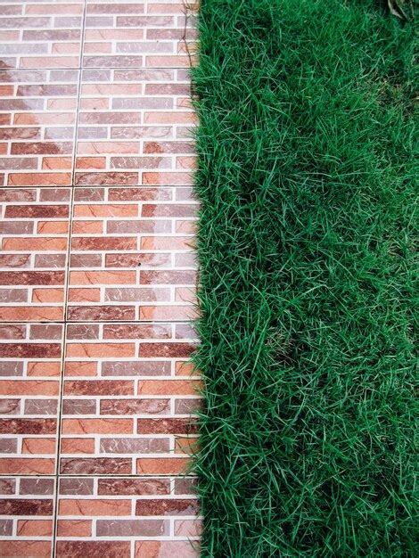 Premium Photo High Angle View Of Green Grass On Field