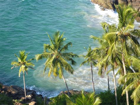 image libre paradis mer noix de coco palmier ete eau paysage