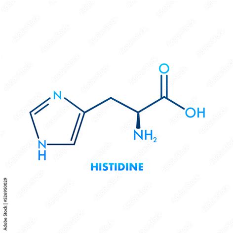 Histidine L Histidine His H Amino Acid Molecule Vector Illustration