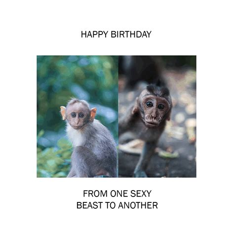 funny naughty birthday memes
